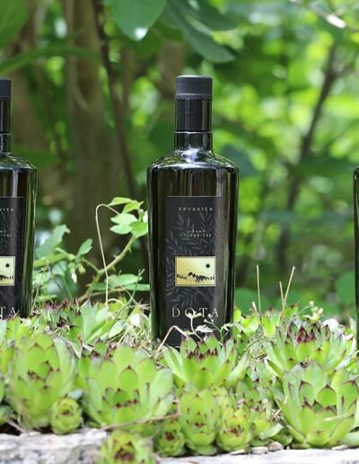 Opg Šunić - Dota - Foto 002