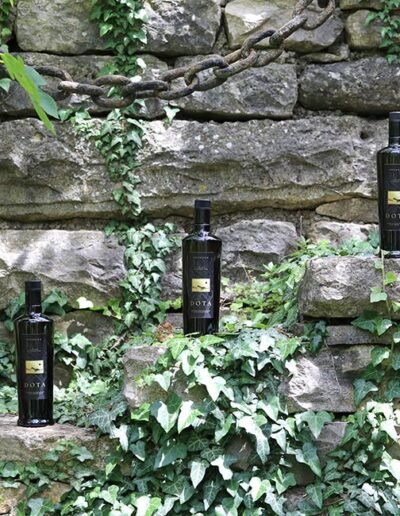 Opg Šunić - Dota - Foto 005