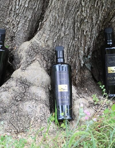 Opg Šunić - Dota - Foto 008