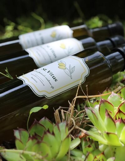 Opg Šunić - St vitus - Foto 001