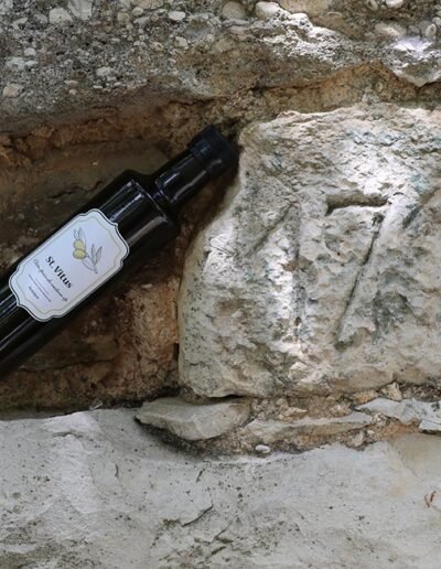 Opg Šunić - St vitus - Foto 006