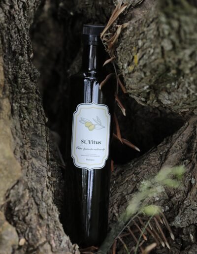 Opg Šunić - St vitus - Foto 008