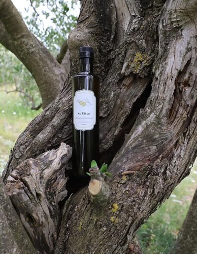 Opg Šunić - St vitus - Foto 009